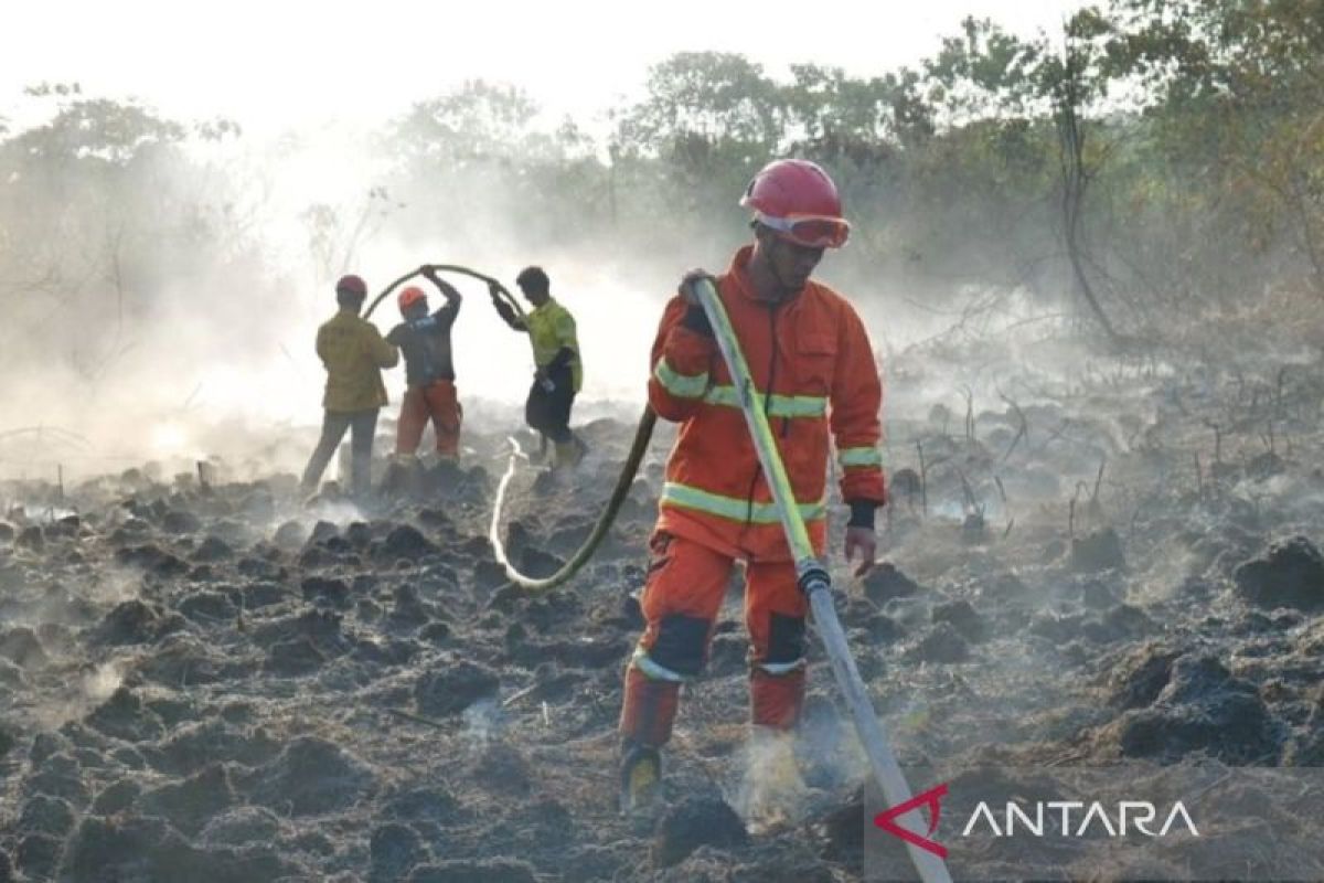 Luas Lahan Terbakar di Desa Budaya Sungai Bawang Capai 3 Hektare, BPBD Kaltim Kerahkan TRC Bersama Samarinda