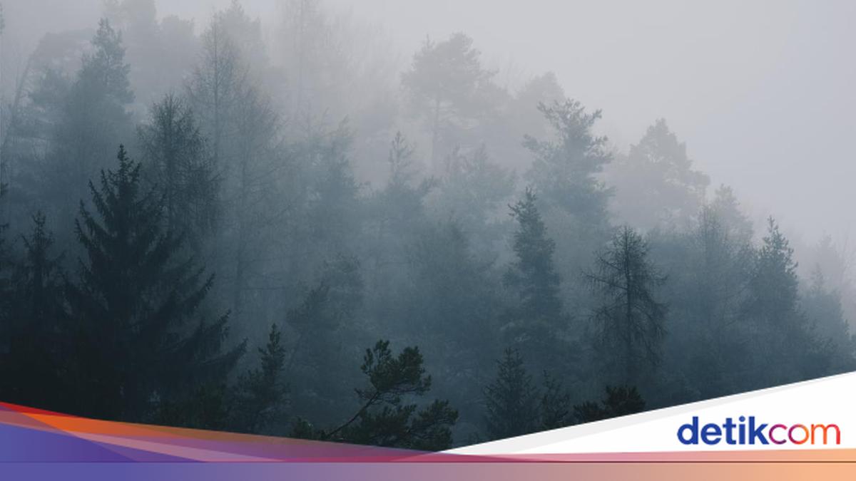 BMKG DIY: Seluruh Wilayah Jogja Cerah Berawan Hari Ini, Kawasan Kaliurang dan Lereng Merapi Berkabut Malam Hari