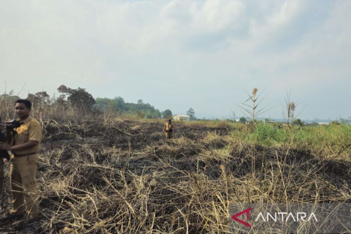 Tim Gabungan Padamkan Karhutla 20,5 Hektare di Betapus Samarinda, Api Berhasil Diblokade dari Permukiman Warga