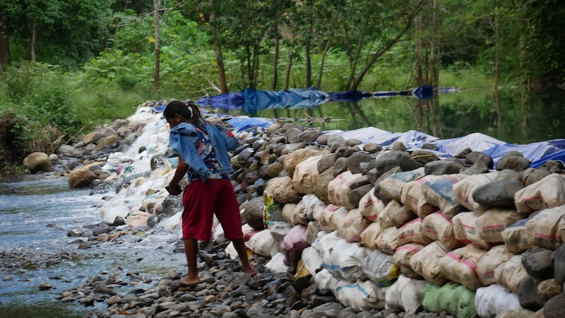 Perempuan Wairhek di Sikka Rawat Sawah di Lahan Konsesi Keuskupan Maumere, Hidup di Antara Panen dan Konflik