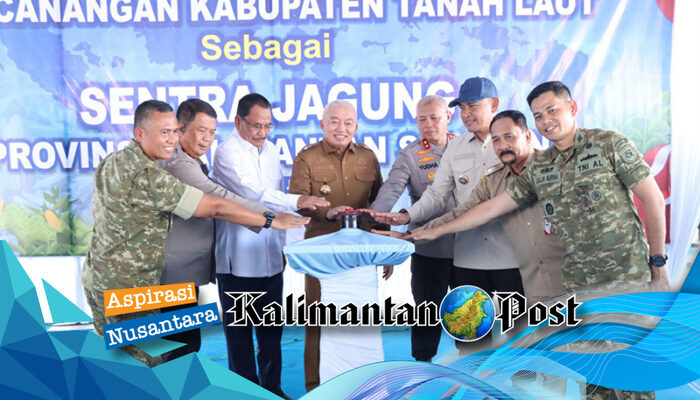 Gubernur Kalsel Tetapkan Tanah Laut sebagai Sentra Jagung Provinsi, Tabel Rafaksi Jadi Tameng Petani dari Tengkulak