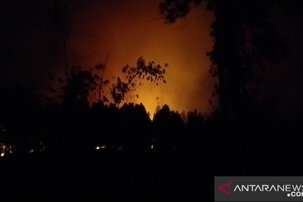 DLHK Sulsel Sebut Penanganan Karhutla Butuh Sinergi Warga, Waspadai Daerah Belum Diguyur Hujan
