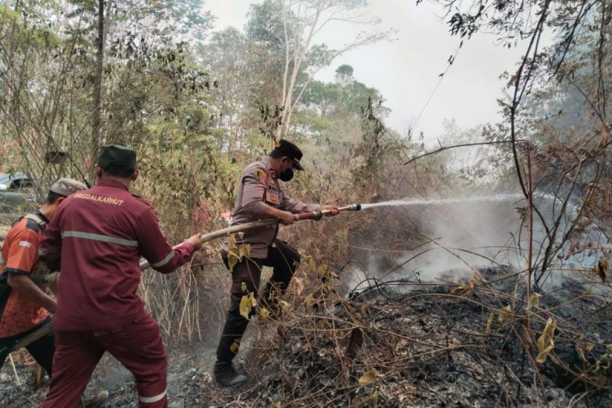 Polsek Muara Uya dan Tim Gabungan Padamkan Titik Api Karhutla di Perbatasan Kalsel-Kaltim