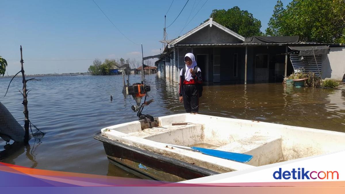 Banjir Rob di Desa Tunggulsari Pati Makin Parah, Seluruh Permukiman Terendam hingga 70 Sentimeter