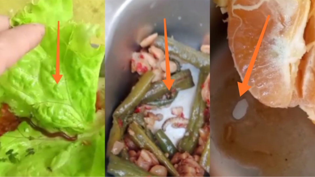 Warga 2 Desa di Musi Rawas Tolak Makan Bergizi Gratis Usai Temuan Cacing di Sayur, Distribusi Dihentikan Sementara