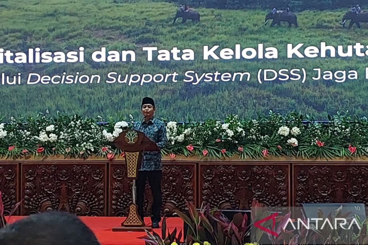 Menteri Kehutanan Luncurkan DSS Jaga Rimba, Integrasikan 300 Aplikasi demi Tata Kelola Hutan yang Akurat dan Transparan
