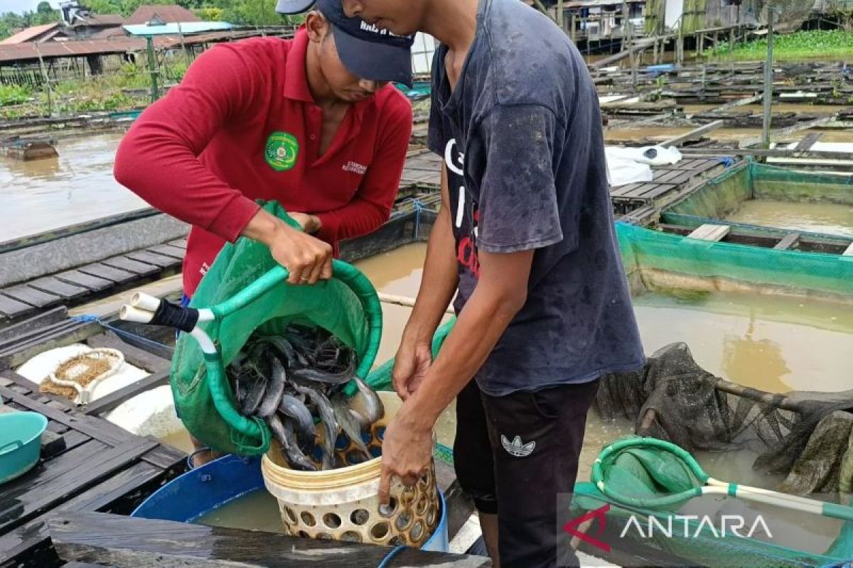 DKP Kaltim Dorong Realisasi Kampung Nelayan Merah Putih di Desa Jembayan, Kukar, untuk Putus Rantai Tengkulak
