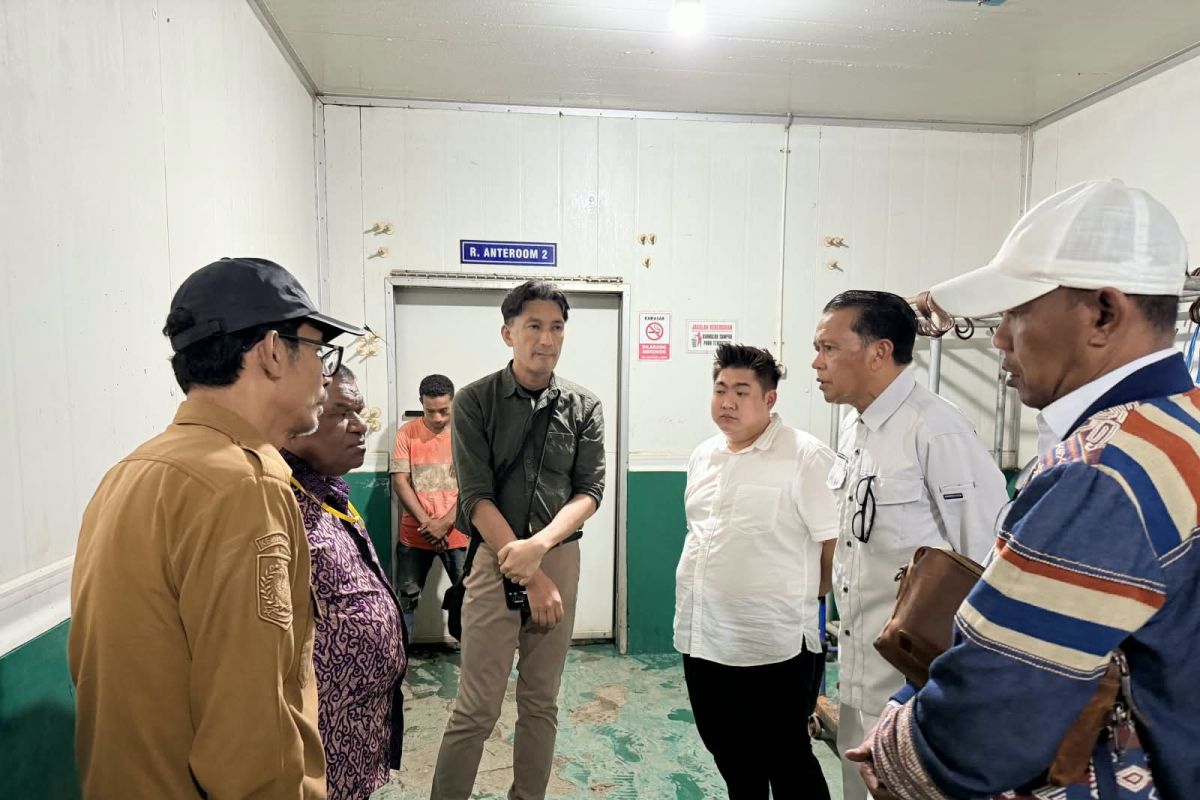 Pemprov Papua Genjot Sektor Perikanan Lewat Penguatan Rantai Dingin dan Investasi