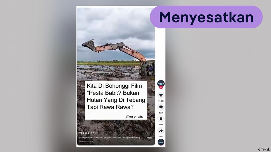 Cek Fakta Lahan di Papua: Bukan Sekadar Rawa, Greenpeace Ungkap Deforestasi di Merauke