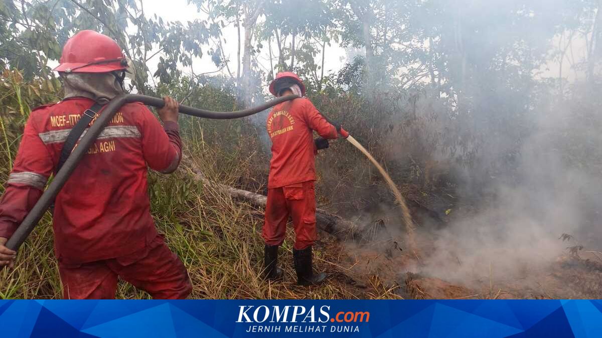 34 Titik Panas Terdeteksi di Sumsel, 108 Kejadian Karhutla Sepanjang 2026 Hanguskan 182 Hektare Lahan