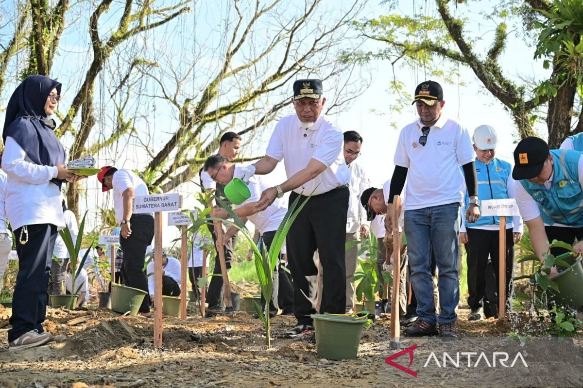 Kerugian Banjir dan Longsor Sumbar Capai Rp33 Triliun, Pemprov Tanam 1.000 Pohon di Hutan Kota Malvinas