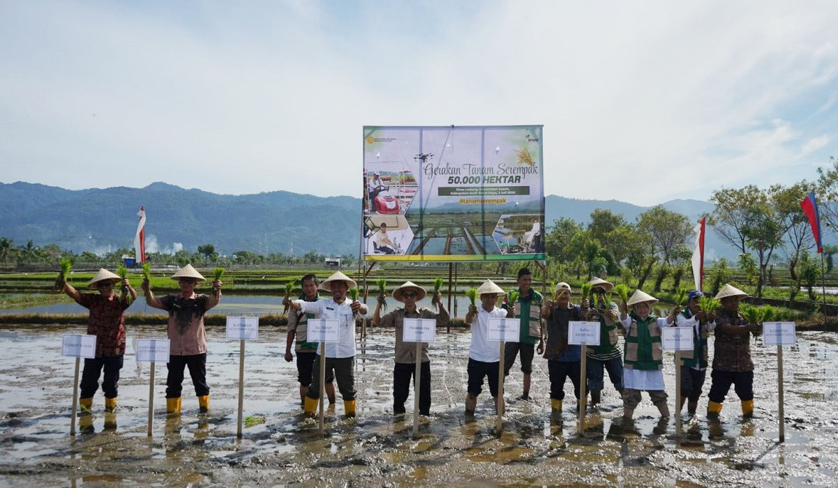 Polbangtan Yogyakarta Magelang Dampingi Gerakan Tanam Serempak di Aceh Barat Daya, Target 780 Hektare
