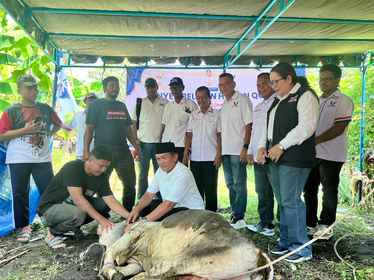 Partai Perindo Sumut Salurkan 41 Hewan Kurban Serentak di 33 Kabupaten/Kota, 1 Sapi dan 40 Kambing Dibagikan ke Warga