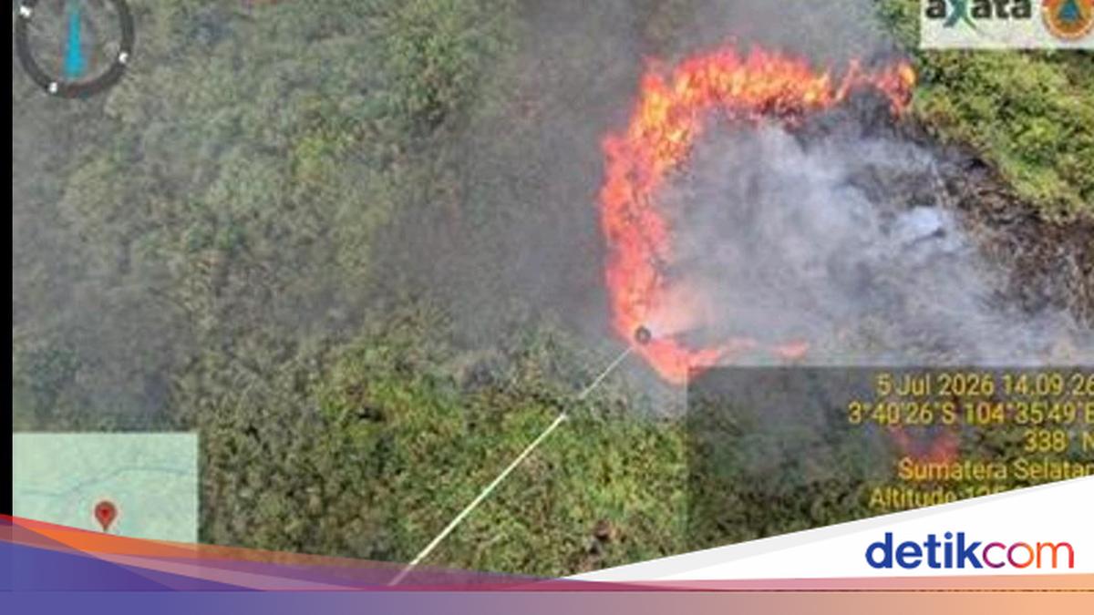 Karhutla Landa 5 Kabupaten di Sumsel, 11 Hektare Lahan Terbakar dan Sejumlah Wilayah Masih Berasap