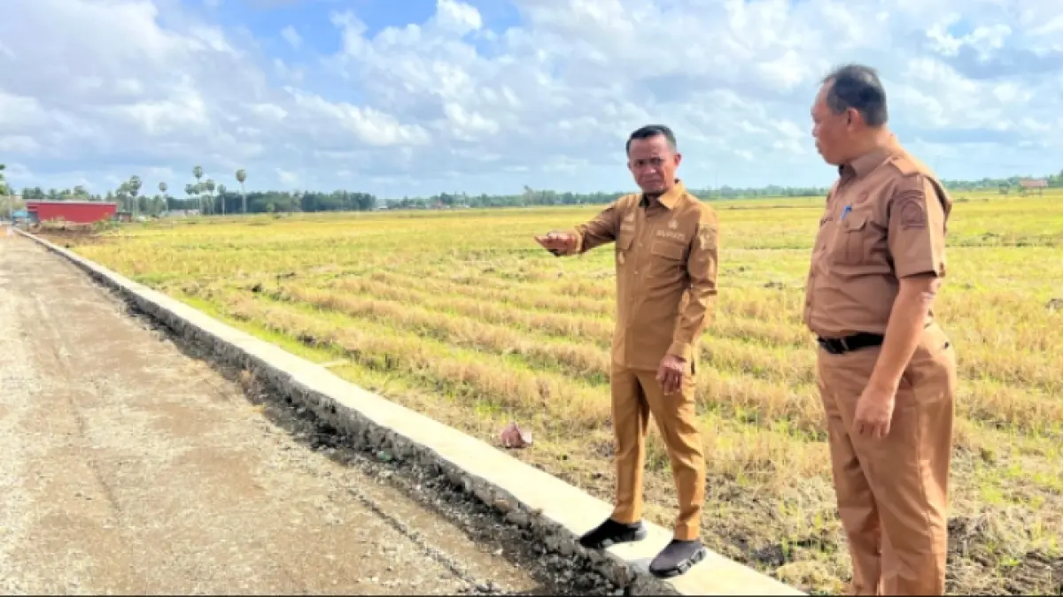 Ekonomi Kabupaten Bone Tumbuh 7,84 Persen di Triwulan I 2026, Sektor Pertanian dan UMKM Jadi Motor Utama