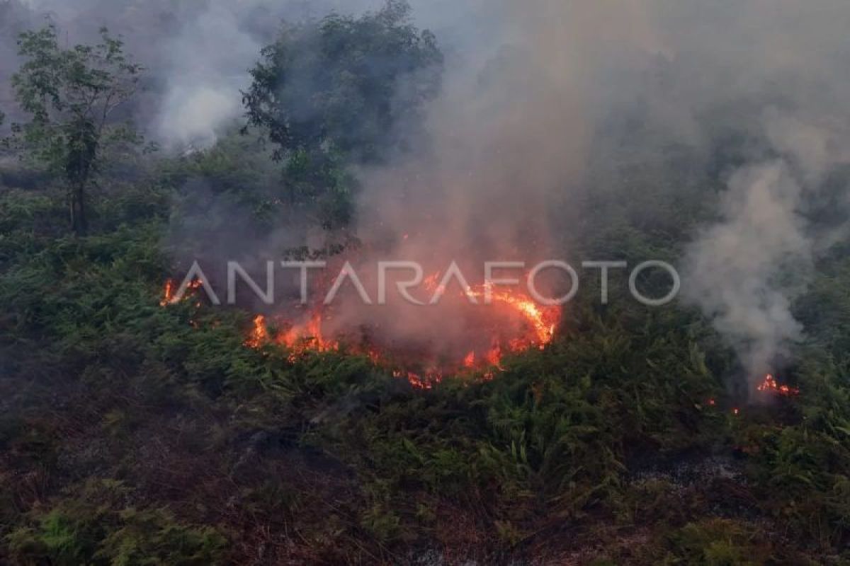 BPBA Sebut Lahan Aceh Lebih Basah Dibanding Riau dan Kaltim, Karhutla Masih Terjadi di 3 Kabupaten
