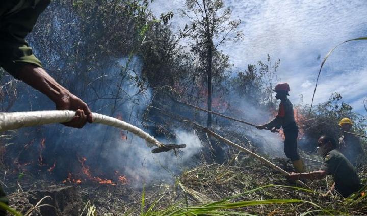 BMKG Deteksi 70 Titik Panas di Aceh, Nagan Raya Mendominasi dengan 23 Hotspot