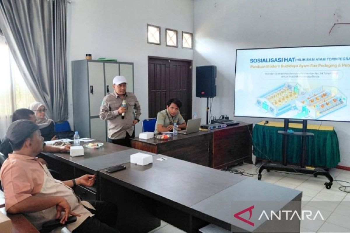 Peternak Ayam Penajam Paser Utara Didorong Kuasai Rantai Nilai dari Pakan hingga Olahan