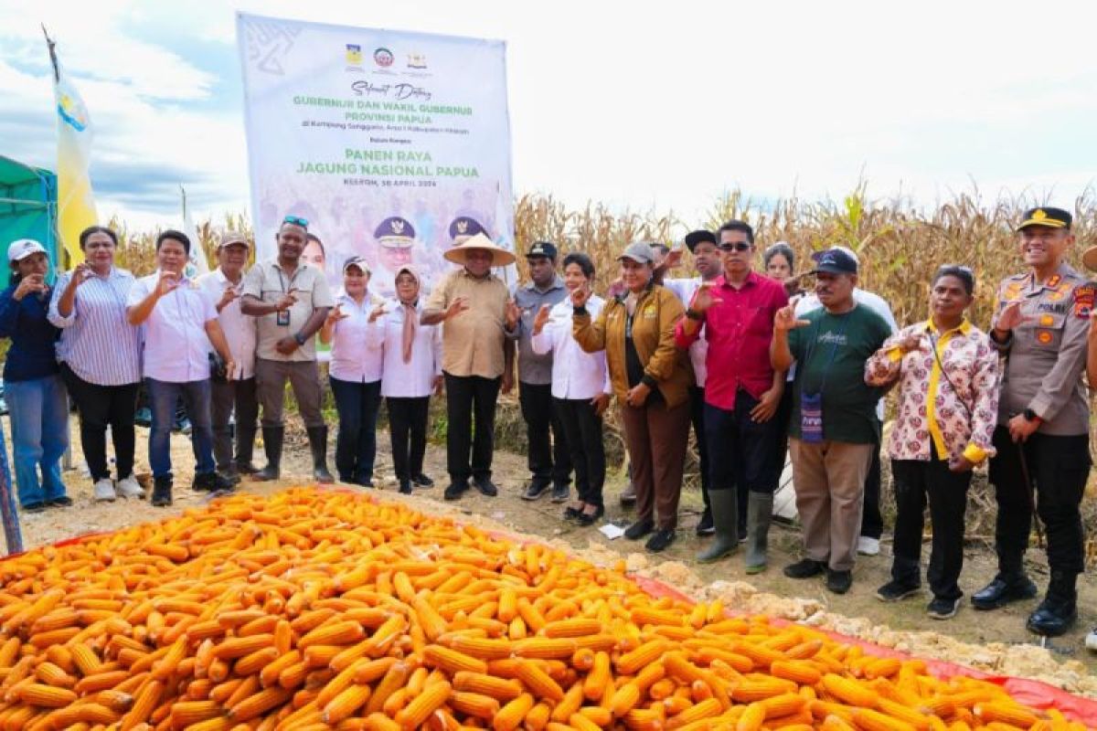 Kadin Papua Perluas Pendampingan Petani, Raih 30 Ton Jagung