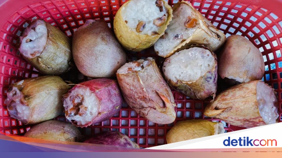 Kue Kantong Semar Kalimantan Barat, Dessert Unik dari Tanaman Karnivora