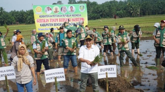 Pemkab Bengkulu Tengah Dorong Swasembada Pangan Lewat Gerakan Tanam Padi Srikuncoro