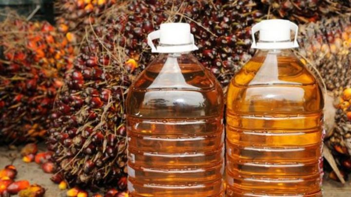 PTPN Bangun Industri Sawit Terintegrasi di Sei Mangkei Simalungun Sumatera Utara