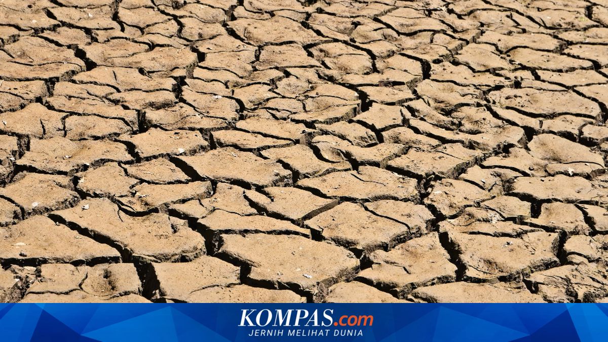 BMKG Prediksi Kemarau Panjang Mei, Jabar Siap Antisipasi Kekeringan dan Karhutla