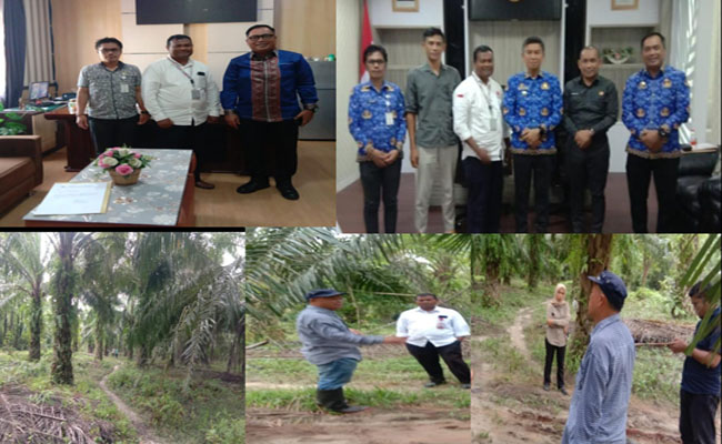 BRIN dan BRIDA Konawe Selatan Dorong Petani Kembangkan Kelapa Sawit