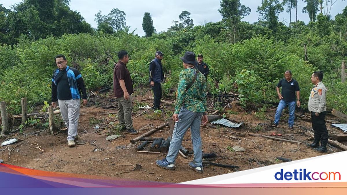 Polda Bengkulu Investigasi Kematian Dua Gajah di Mukomuko