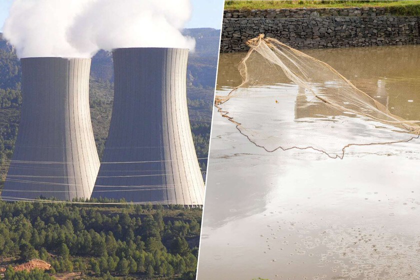 China Kembangkan Metamaterial Mikro Pengisap Uranium di Laut untuk Energi Nuklir