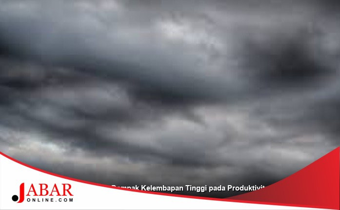 Jawa Barat Dilanda Kelembapan Ekstrem 95%, Ancam Kesehatan dan Produktivitas