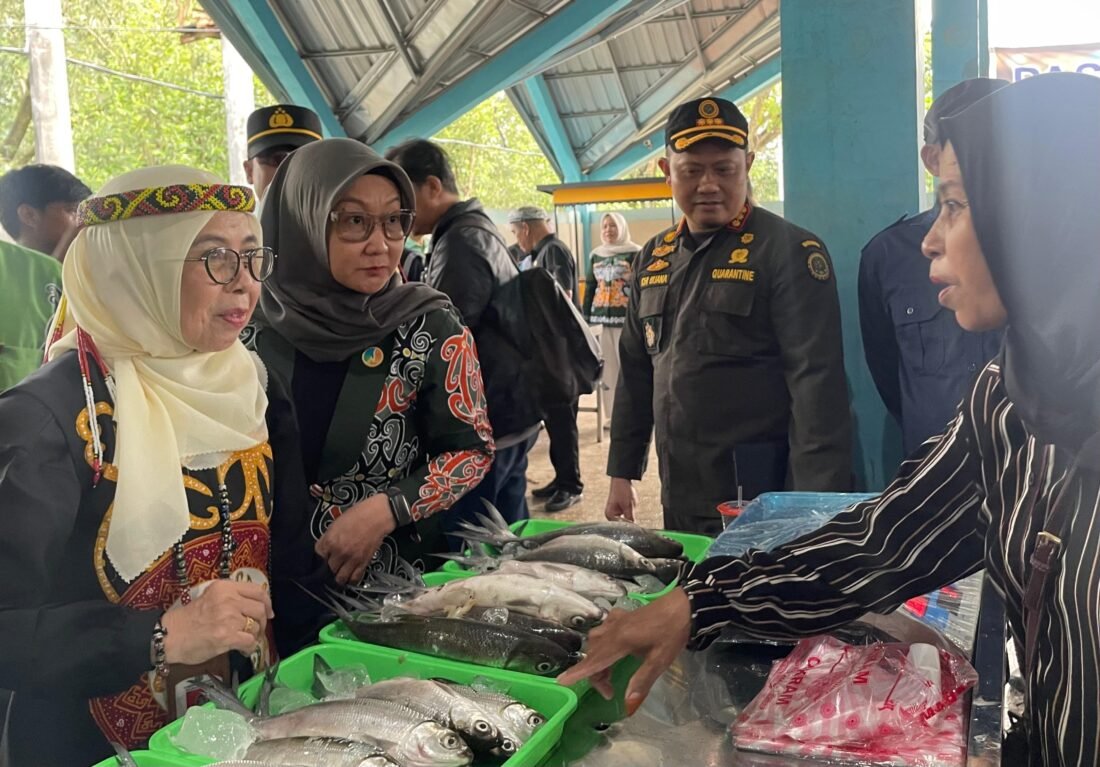 Pemprov Kaltara Bangun Pasar Ikan Higienis Tarakan untuk Tekan Harga