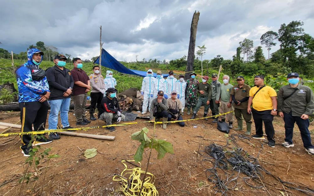 Polda Bengkulu Investigasi Khusus Kematian Dua Gajah di Air Teramang