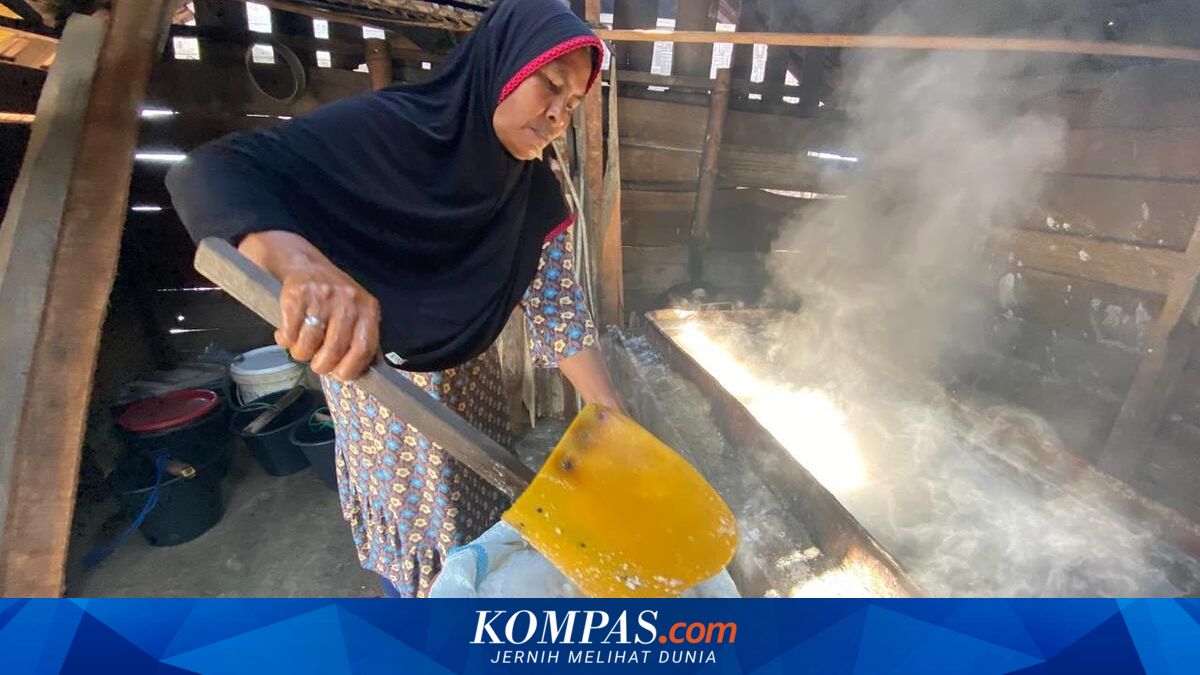 Petani Garam Aceh Utara Bertahan di Lahan Rusak Demi Laba Tipis