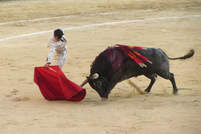 Cantabria Kucurkan Subsidi Adu Banteng Guna Tekan Angka Depopulasi Desa