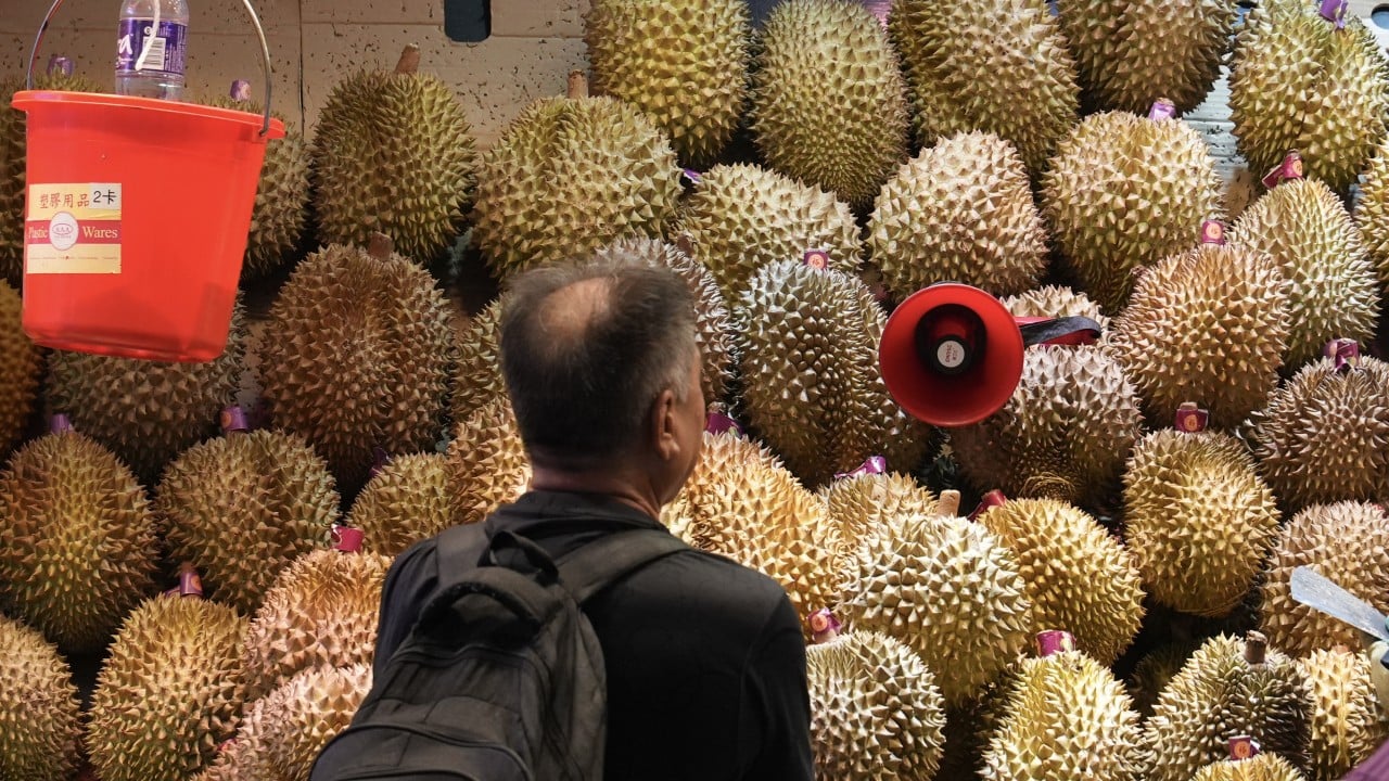 Kereta Cepat China-Asia Tenggara Pangkas Harga Durian dan Biaya Logistik