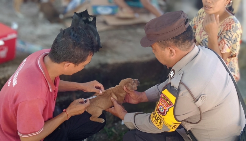 Vaksinasi Rabies Klungkung Baru 27 Persen, 15 Anjing Positif Terdeteksi