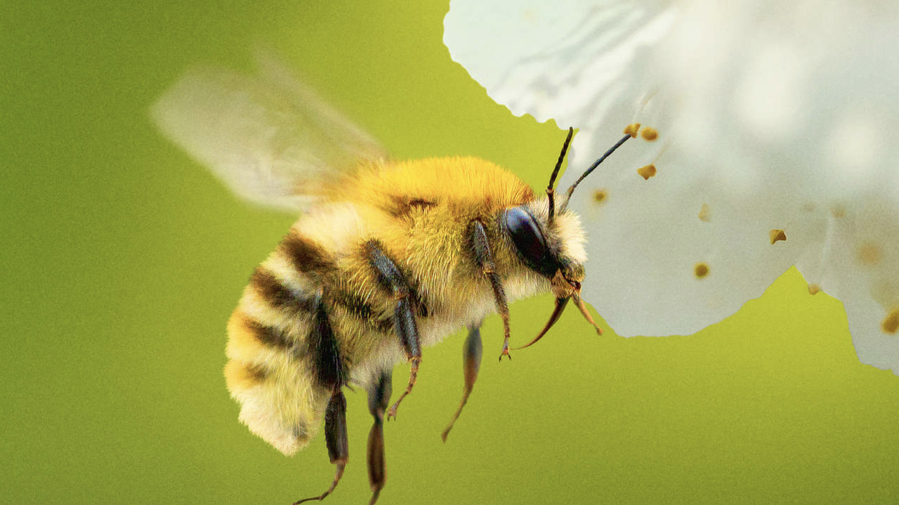 ChatGPT Memitigasi Kecemasan Pengguna Melalui Teknik Prompt Bee Sting yang Terstruktur