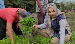 Senator Eva Susanti Serap Aspirasi Petani Ogan Ilir Soal Pupuk dan Jalan