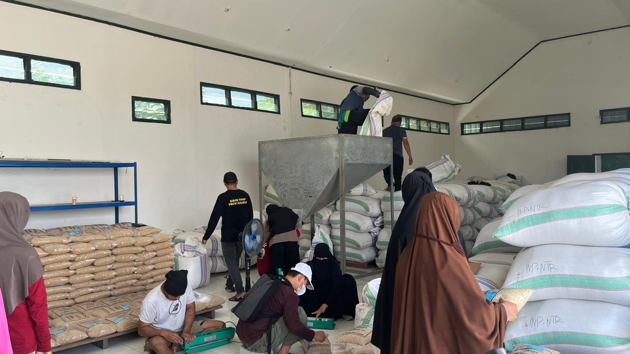 Pemprov Sulbar Siapkan 31 Ton Benih Padi untuk 1.240 Hektare Lahan