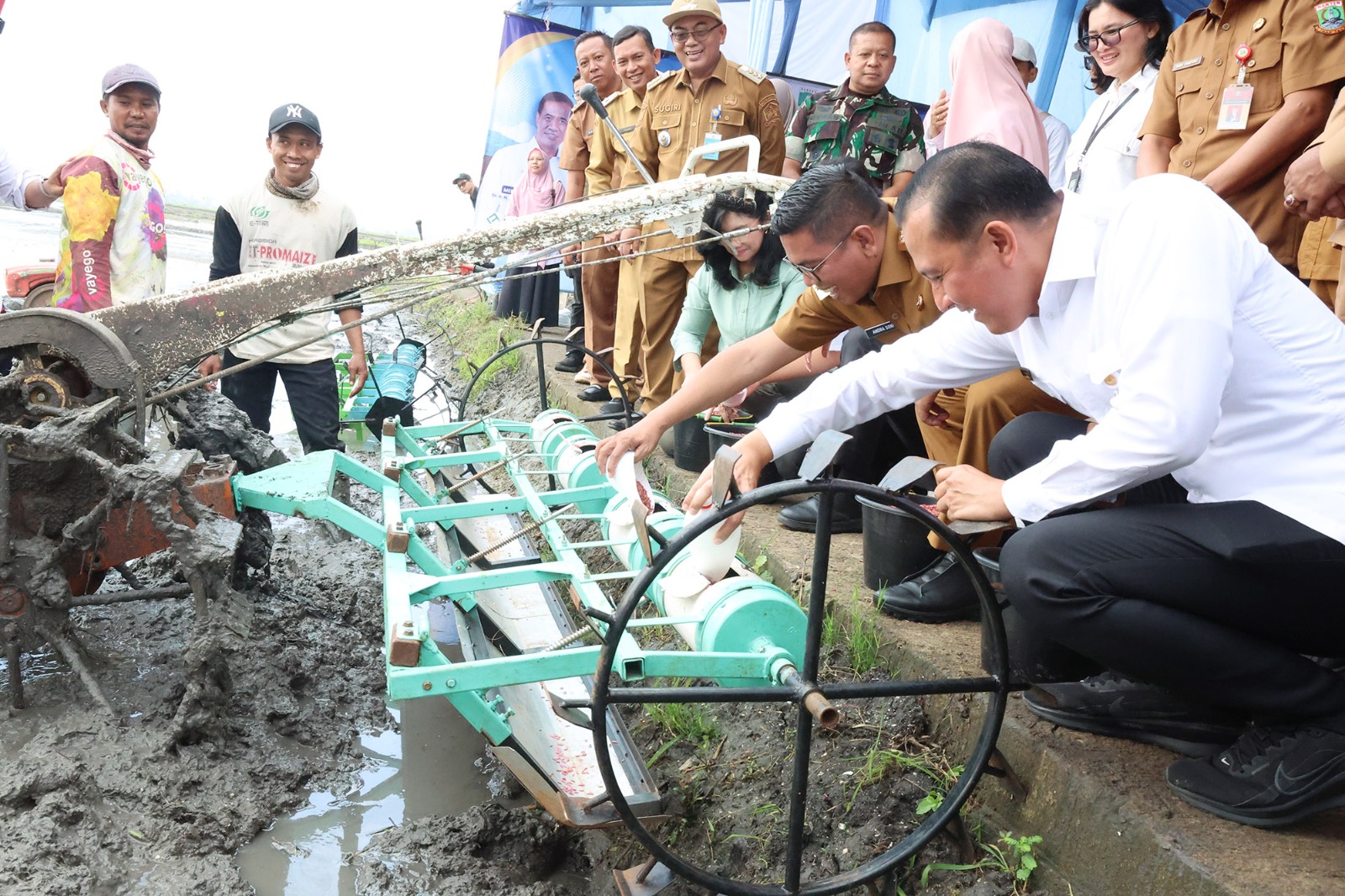 Produksi Padi Banten Tembus 8 Besar Nasional, Biaya Tanam Dipangkas Drastis