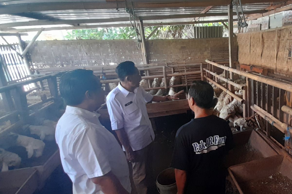 Pemkab Bantul Jamin Stok 23 Ribu Hewan Kurban Aman Jelang Iduladha