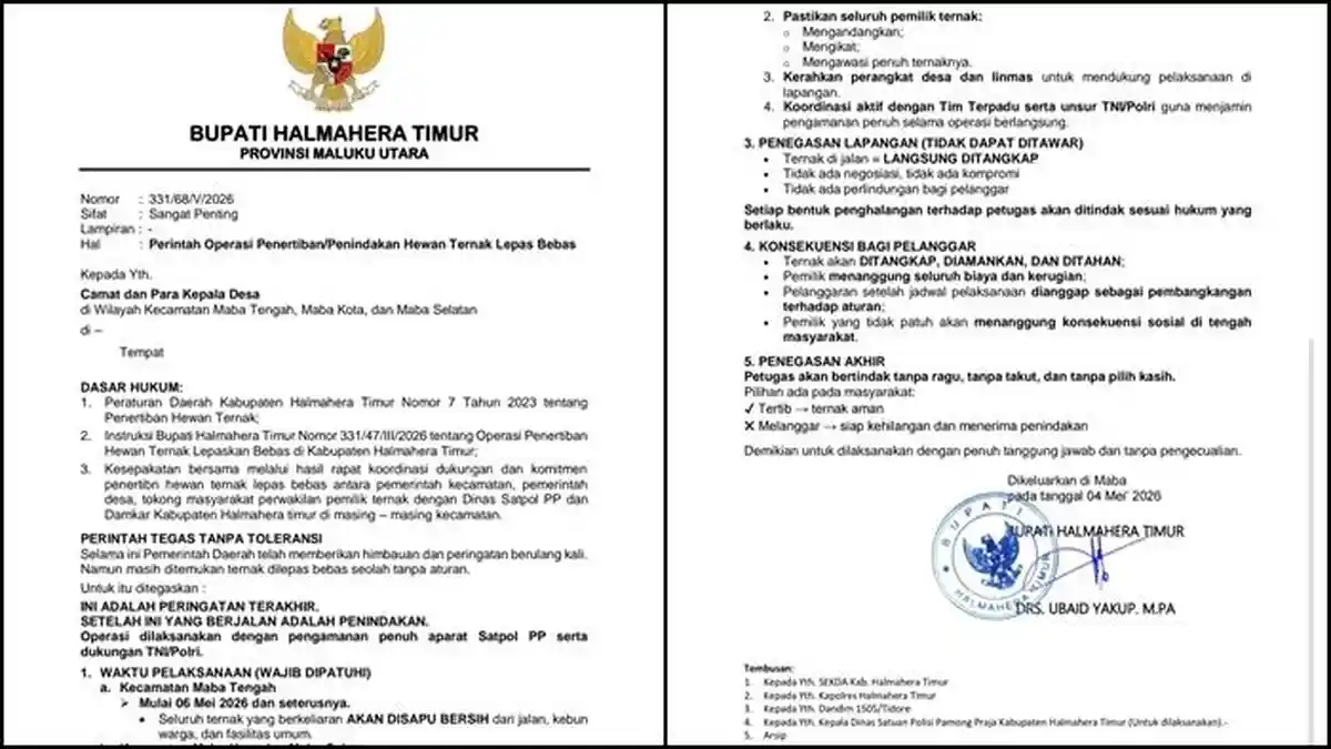 Bupati Ubaid Yakub Instruksikan Penertiban Hewan Ternak di Halmahera Timur
