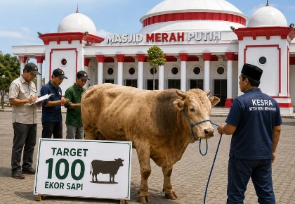 Kota Bengkulu Targetkan 100 Sapi Kurban dan Jatah dari Presiden