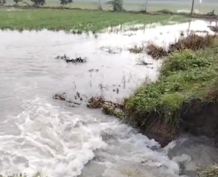 Tanggul Jebol, Sawah di Tempuran Karawang Terendam Banjir