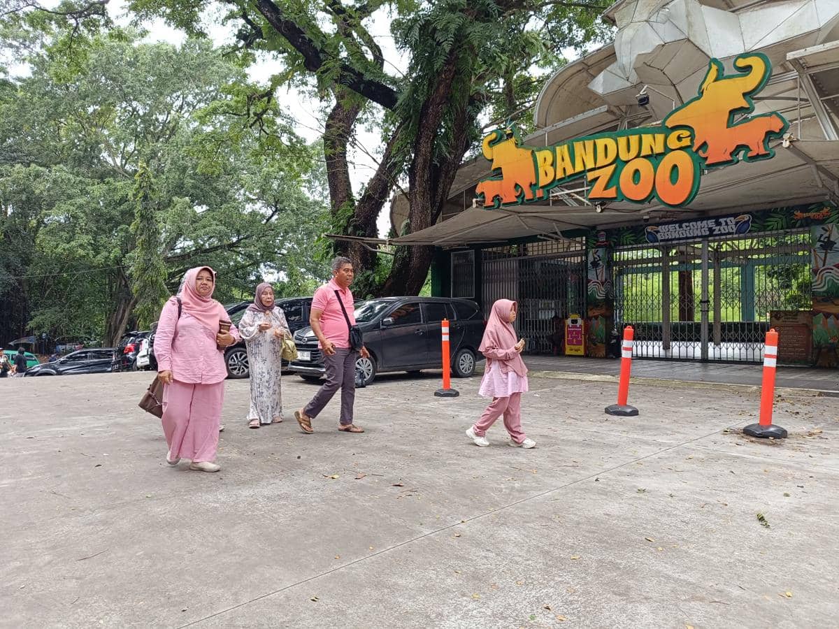 Pemprov Jabar Siapkan BUMD untuk Ambil Alih Pengelolaan Bandung Zoo