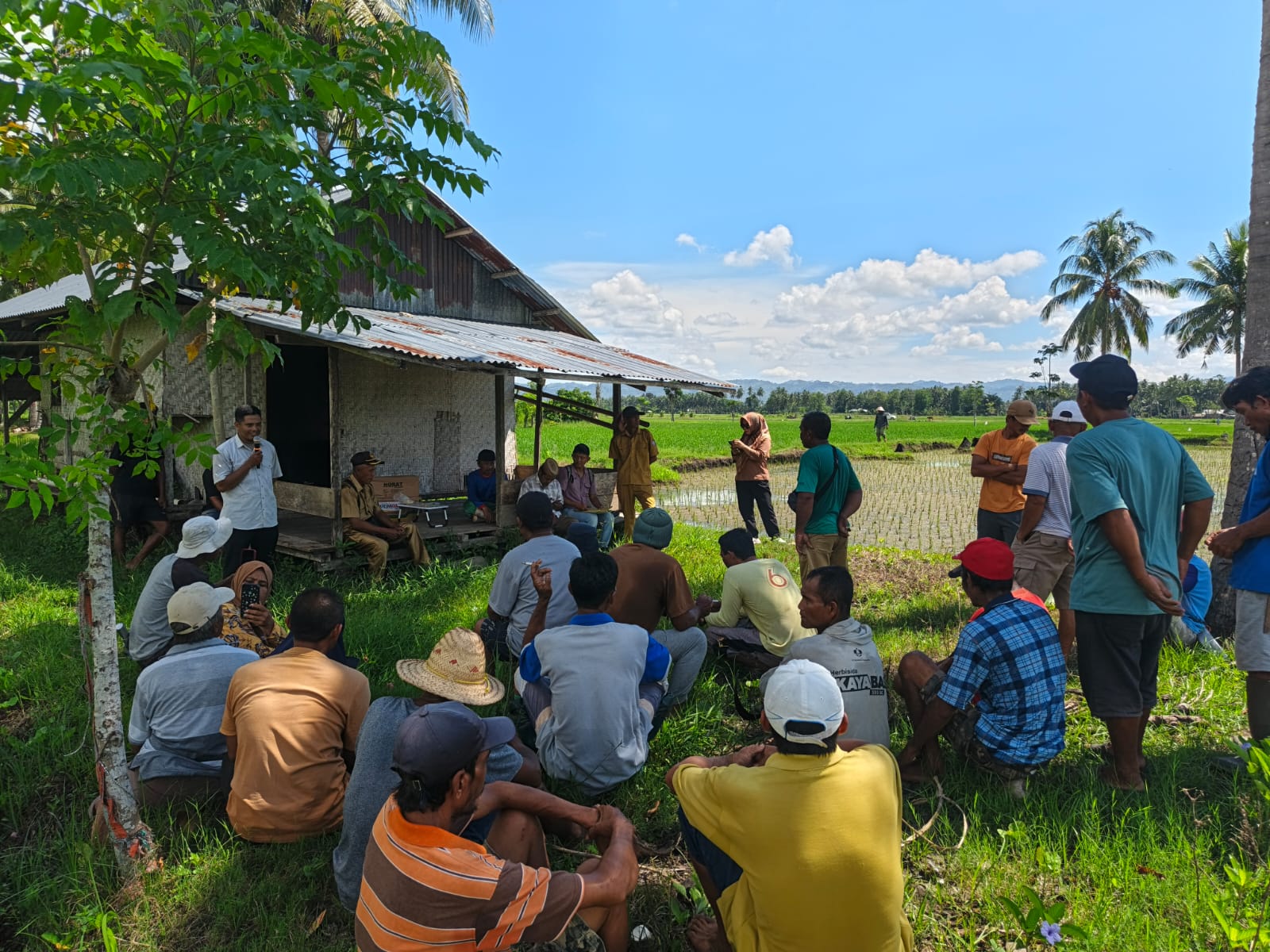 Balintan Gorontalo Kendalikan Serangan Tikus di 20 Hektar Sawah Limehe