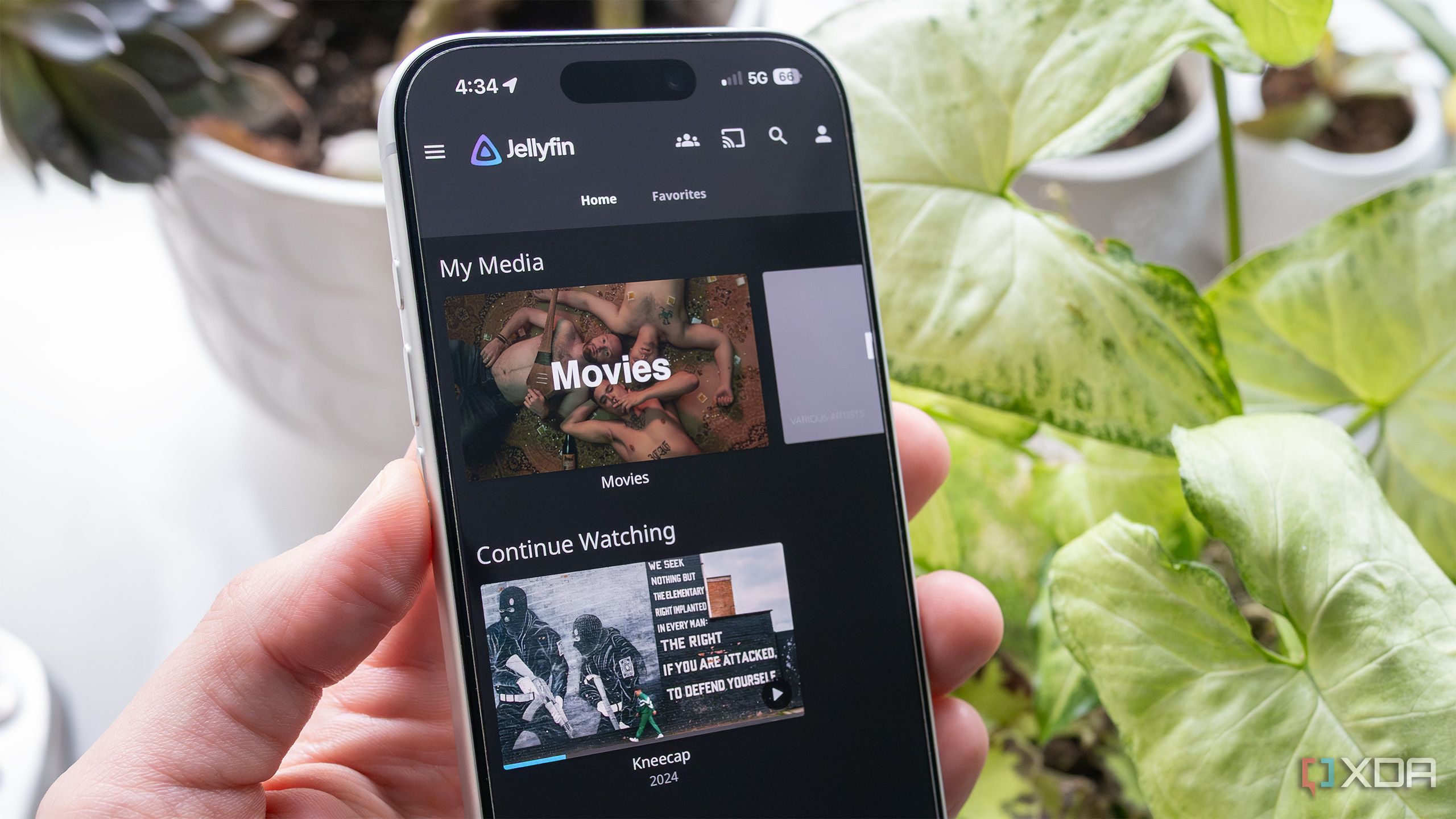 Tailscale Sederhanakan Akses Remote Streaming Jellyfin bagi Pengguna Media Hosting