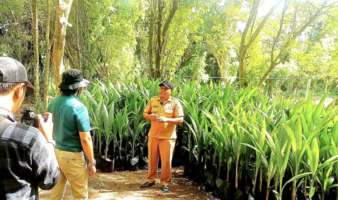 Keluar Morotai Wajib Izin, Distribusi Kelapa Bido Kini Diawasi Ketat