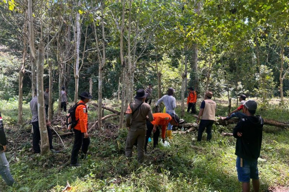 Tim SAR Perluas Pencarian Lansia yang Hilang di Perkebunan Bone